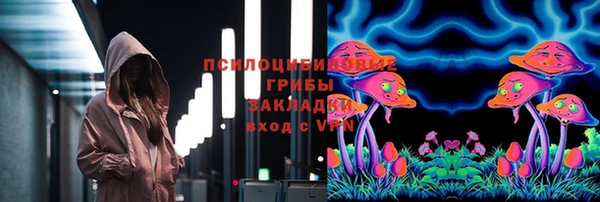 соль ск Богданович