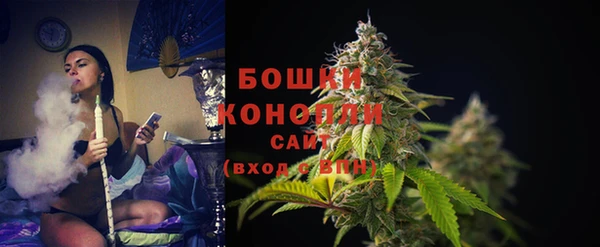 соль ск Богданович