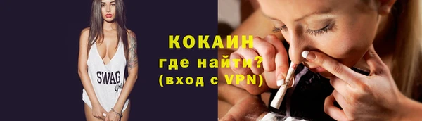 соль ск Богданович