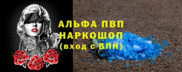 соль ск Богданович