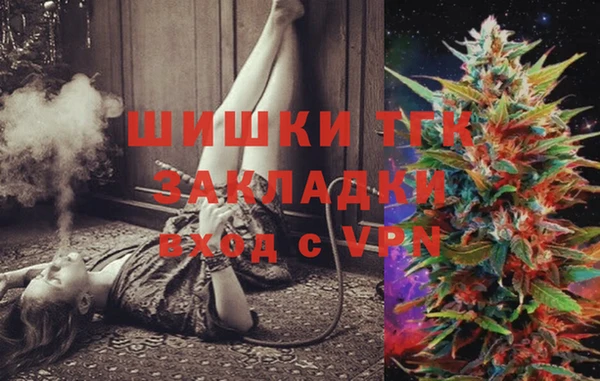 таблы Богородицк
