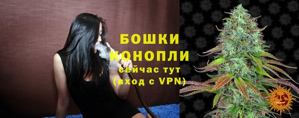 таблы Богородицк