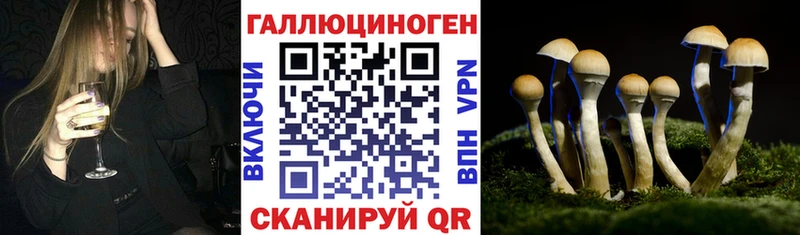 Купить  Бабушкин  Галлюциногенные грибы Magic Shrooms 